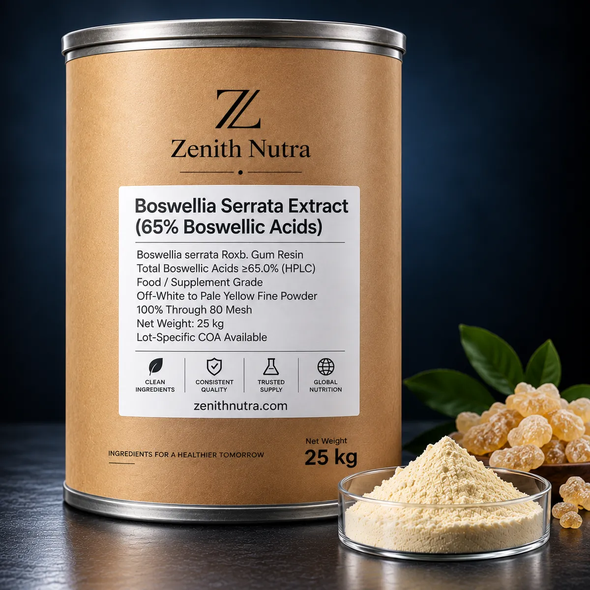 Boswellia Serrata Extract (65% Boswellic Acids) — bulk packaging